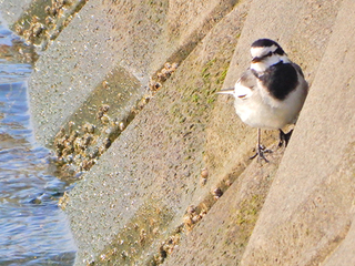 DSCN8629.jpg