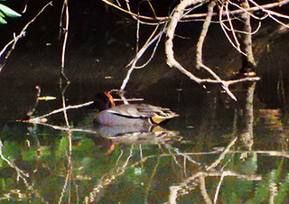 DSCN9298.jpg