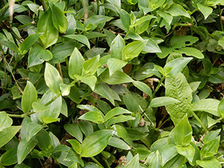 DSCN9352.jpg