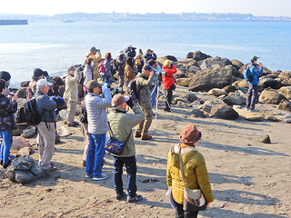 斉田浜.jpg