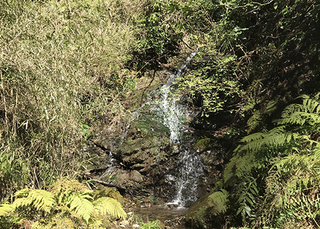 大楠山の滝.jpg