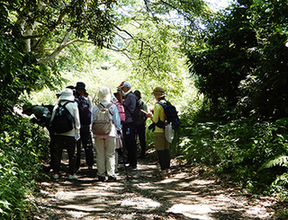 登山道.jpg