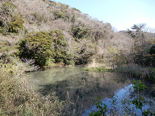 芦名堰.jpg